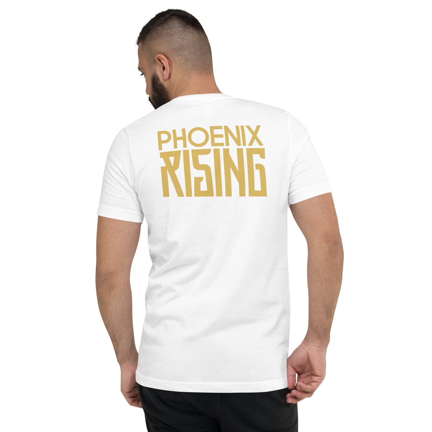 Richen Phoenix Rising V-Neck T-Shirt